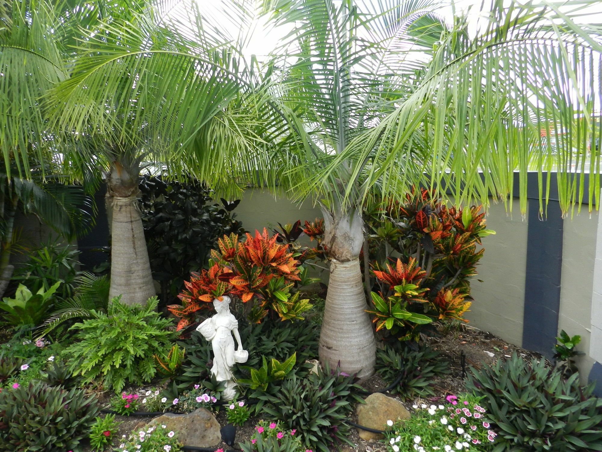 Golden Palms Motor Inn Bundaberg Exteriör bild